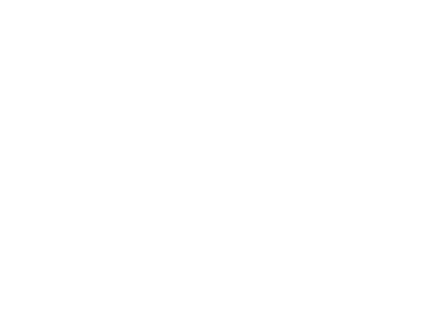 Movimento Ação Revolucionária